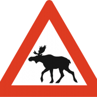 Dutch Moose