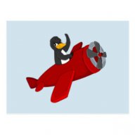 PenguinsCanFly