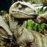 Velocyraptor