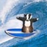 Badgersurfer