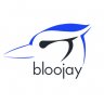 Bloojay Media