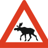 Dutch Moose