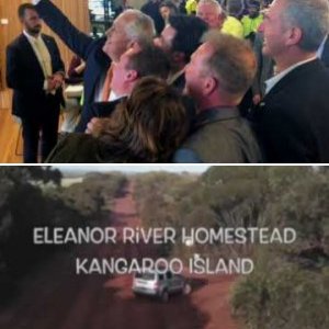 Kangaroo Island footage