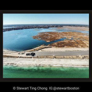 Dune Restoration, Duxbury MA USA