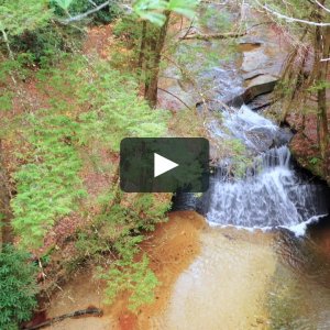 Creation Falls & Rock Bridge Arch in Red River Gorge