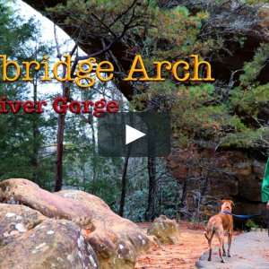 Skybridge Arch in Red River Gorge