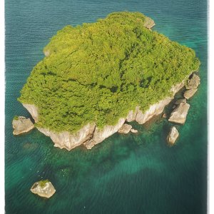 Minalayo (a.k.a Snake Island)