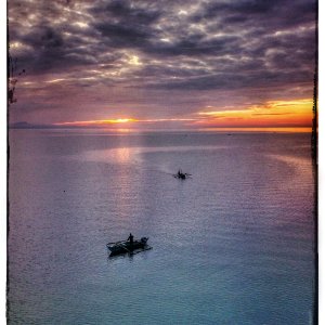 The Early Bird Gets the Fish