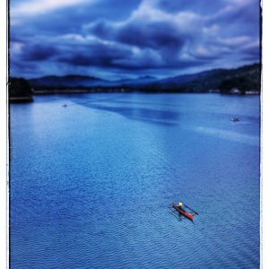 The Early Bird Gets the Fish