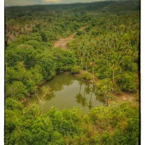 Watering Hole