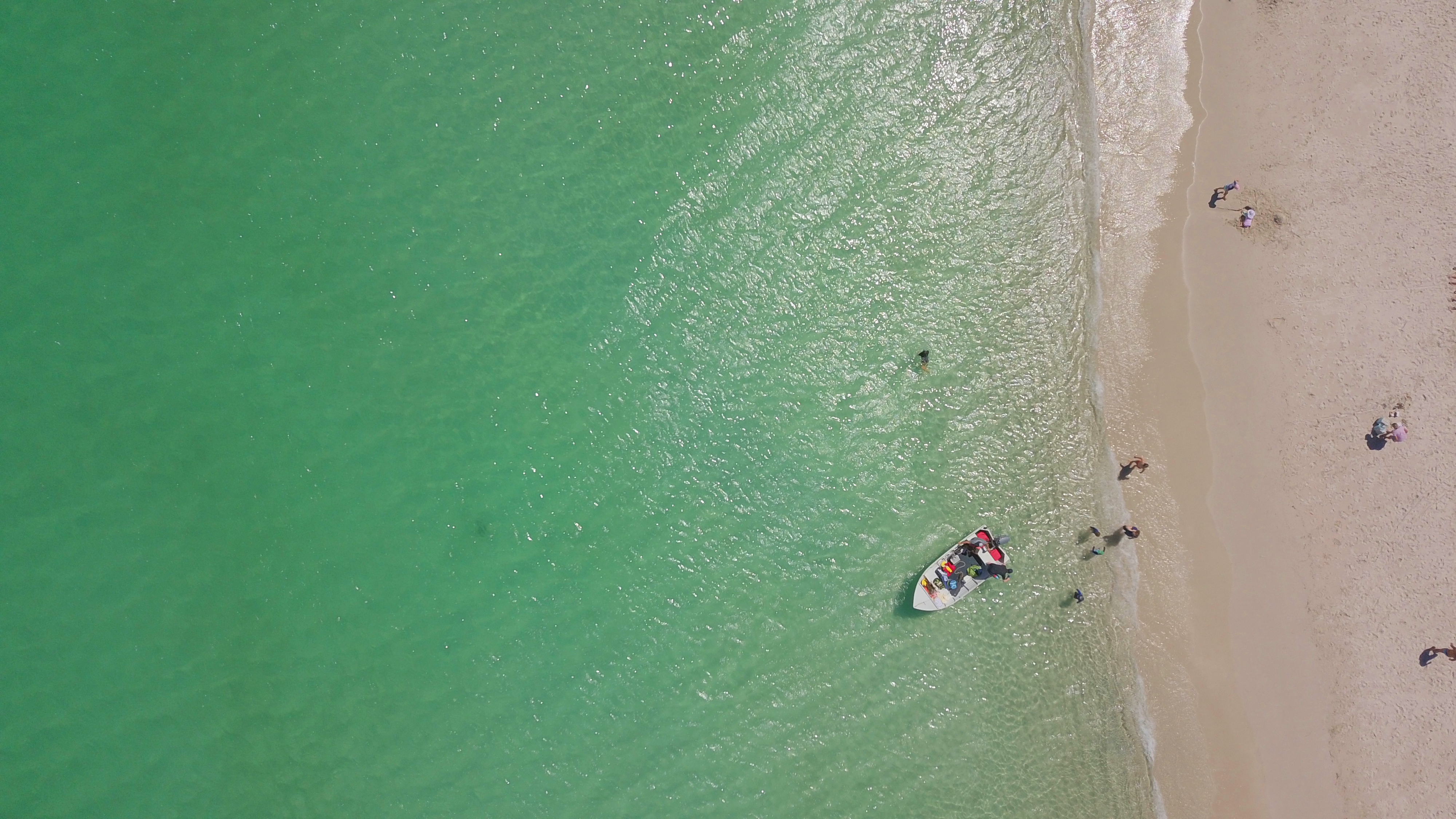 Beach  - Pinaroo Point