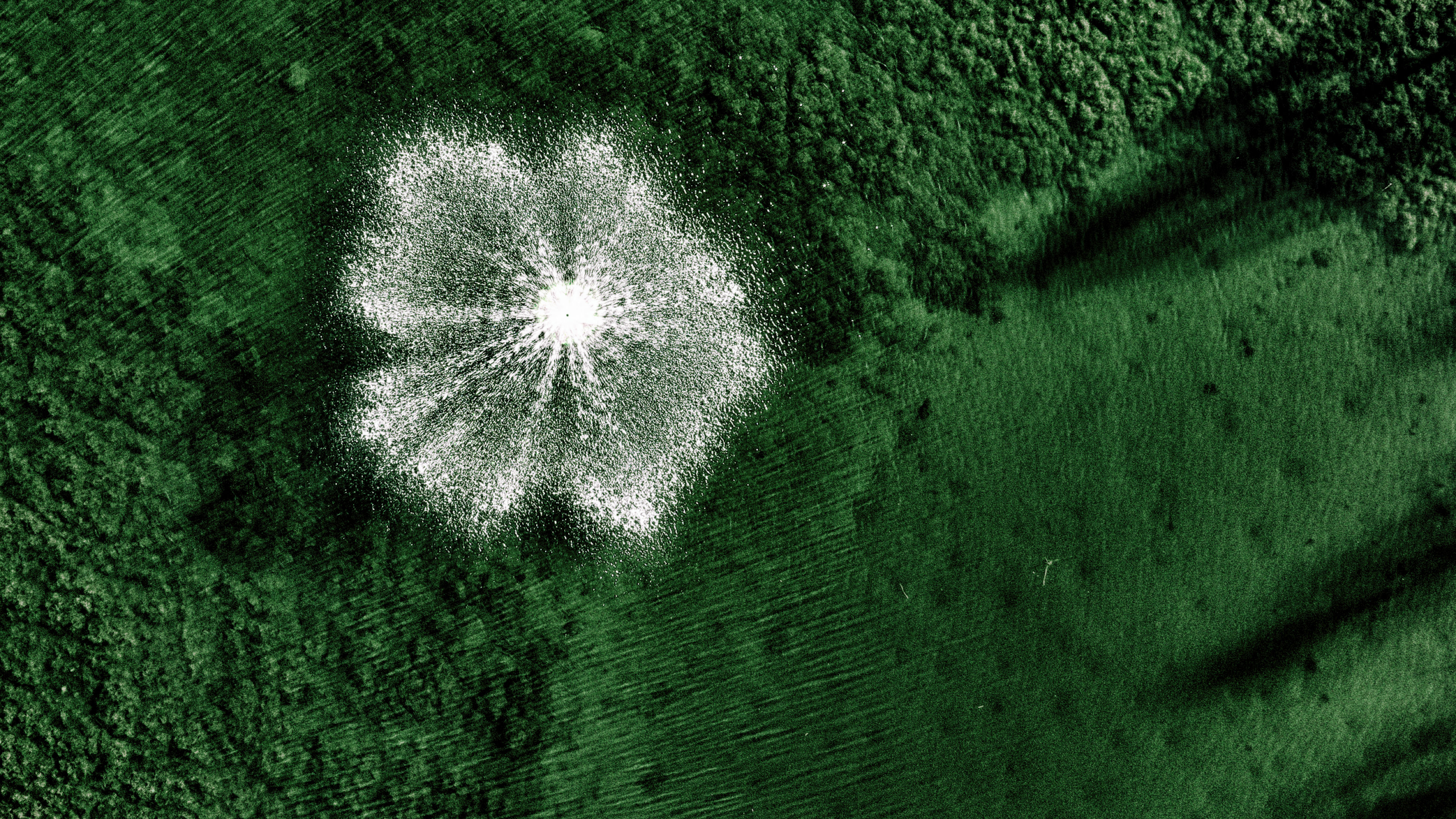 Bird's View of a Fountain