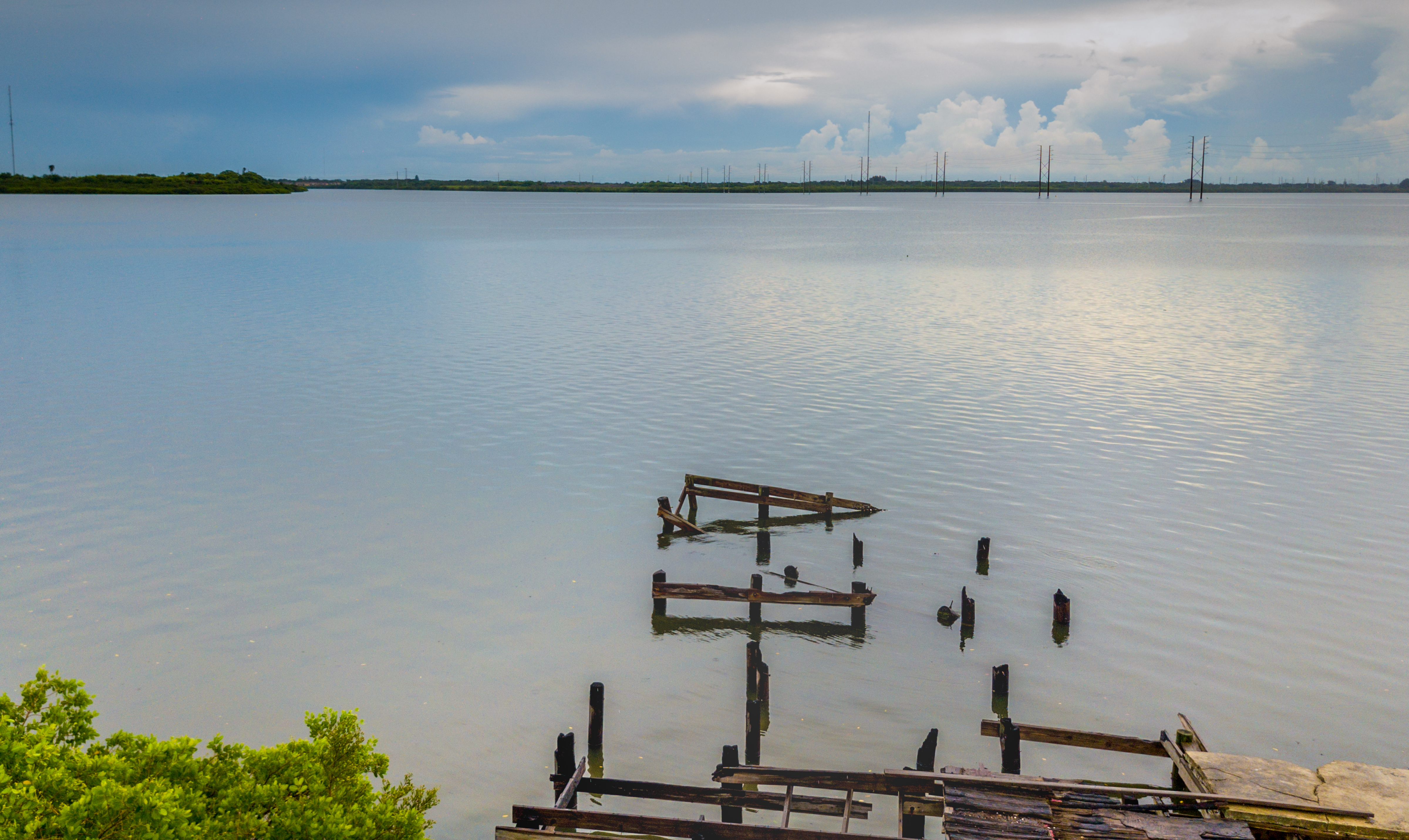 Lonely dock on Tampa bay