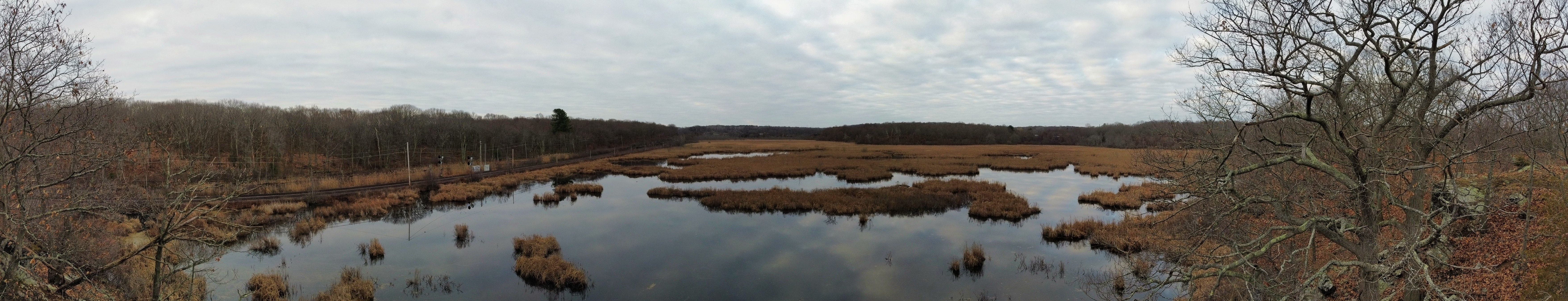 Photo_Thompson-Meadow_photo_pano.jpg