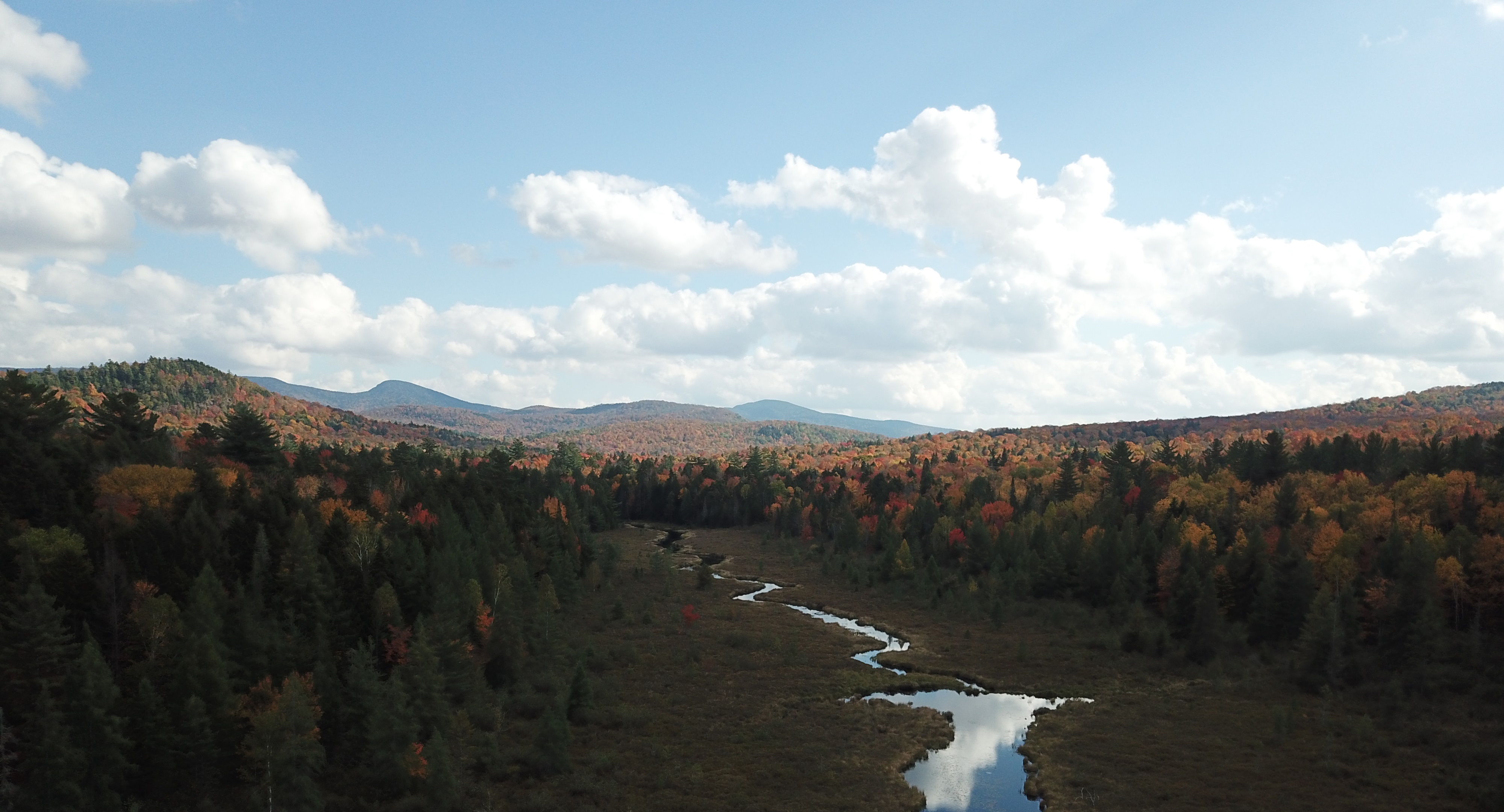 Secluded Adirondack Stream