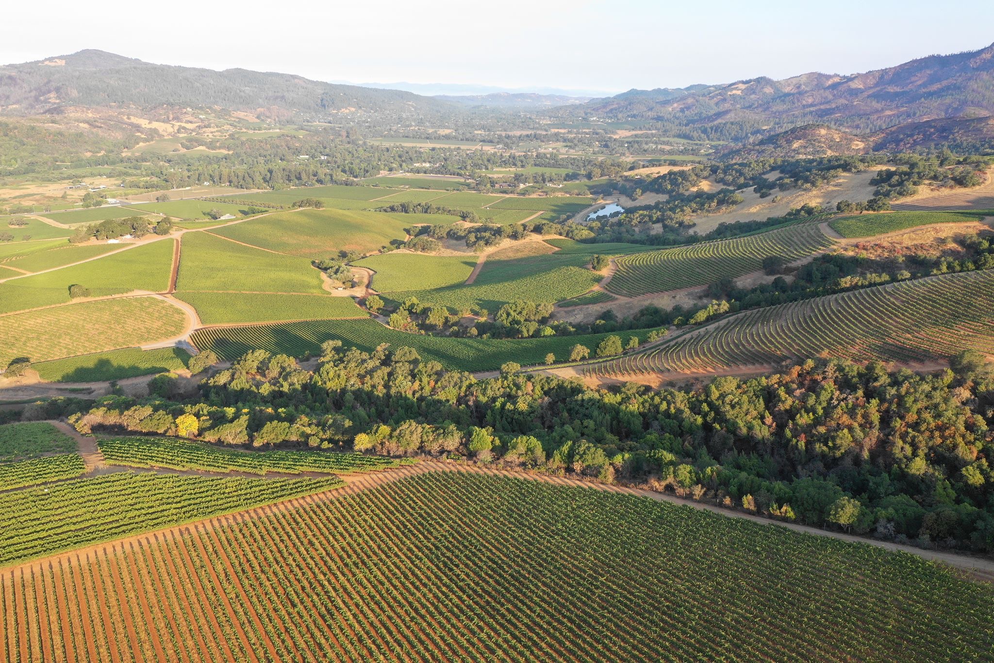 Sonoma Valley Vineyards 2