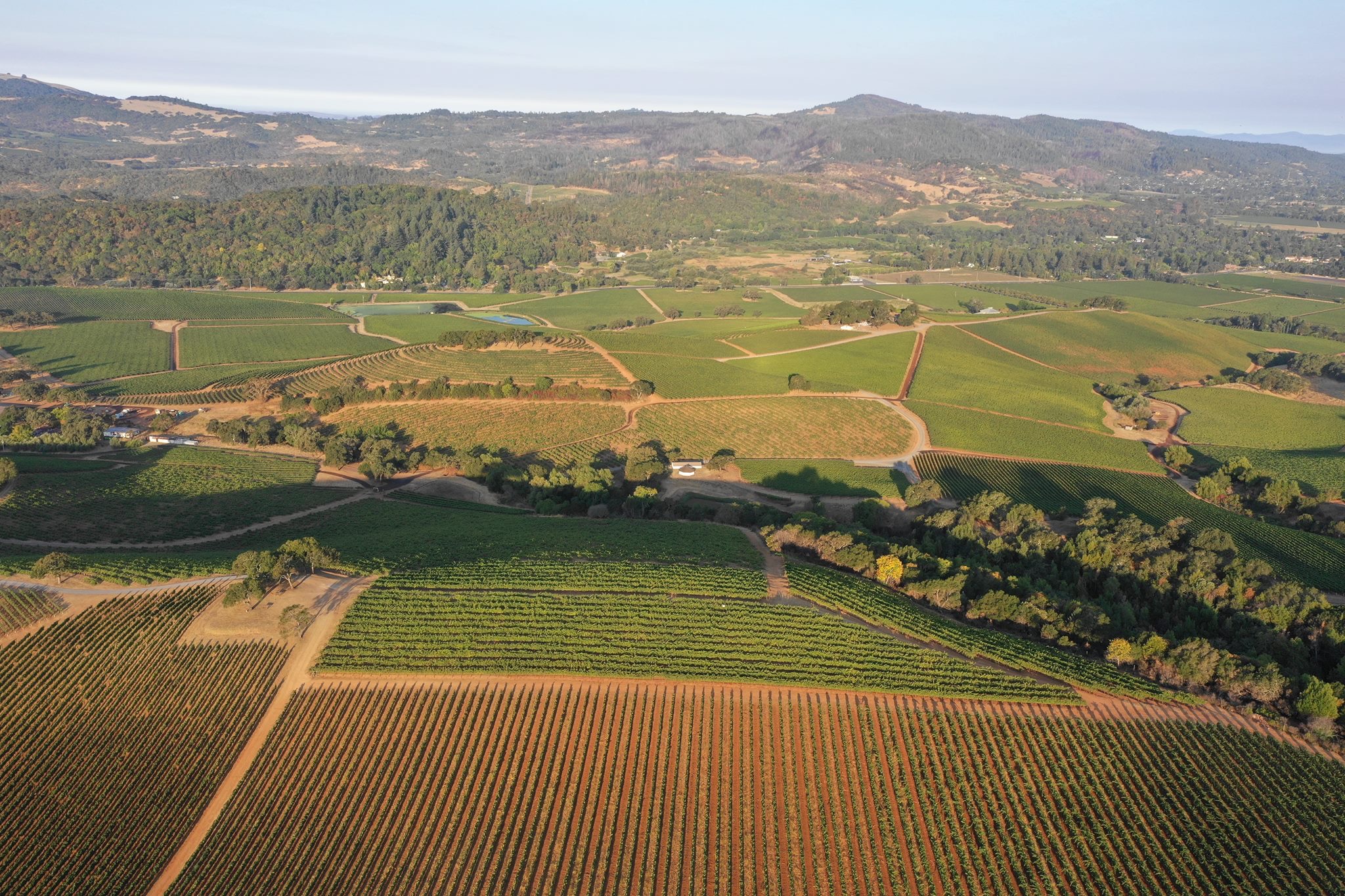 Sonoma Valley Vineyards 3