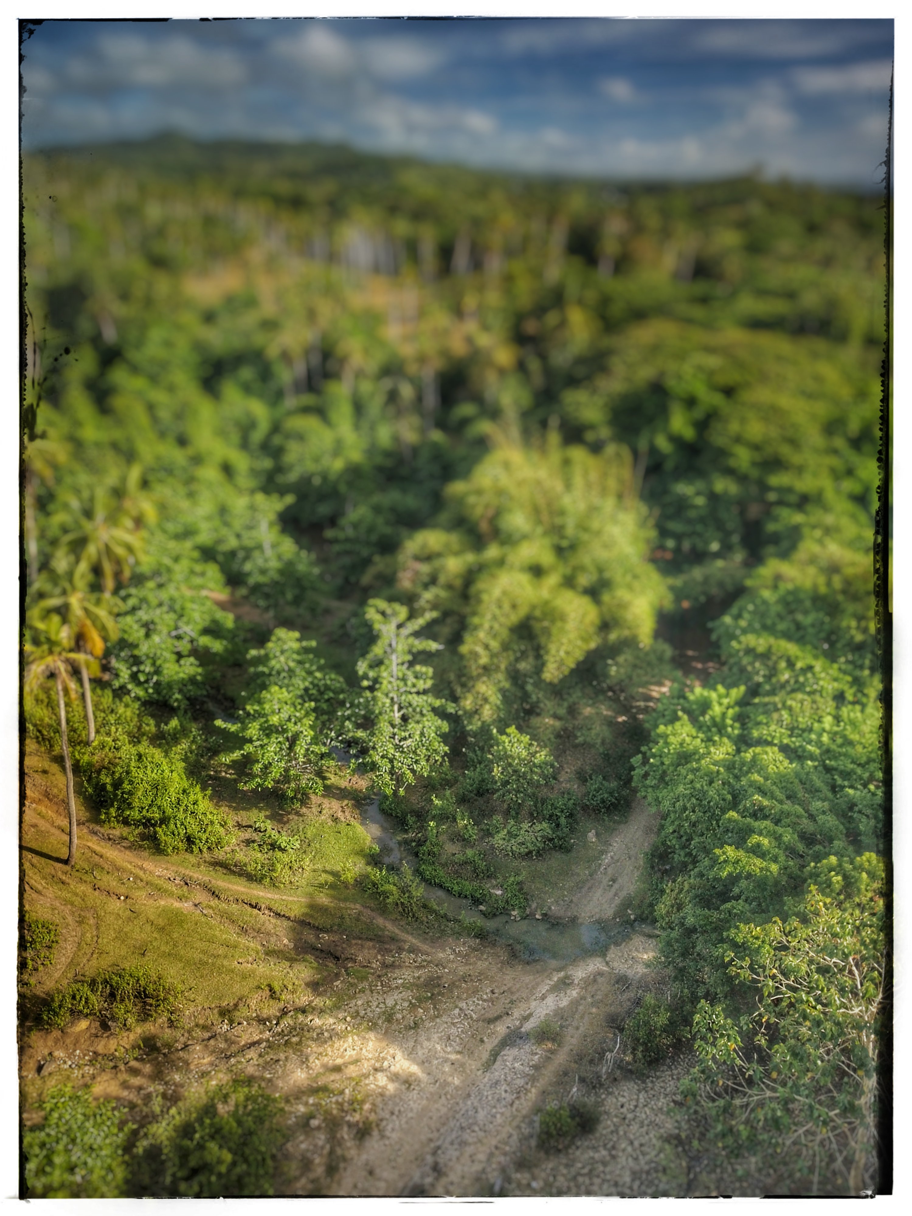 Stream Crossing the Dirt Path