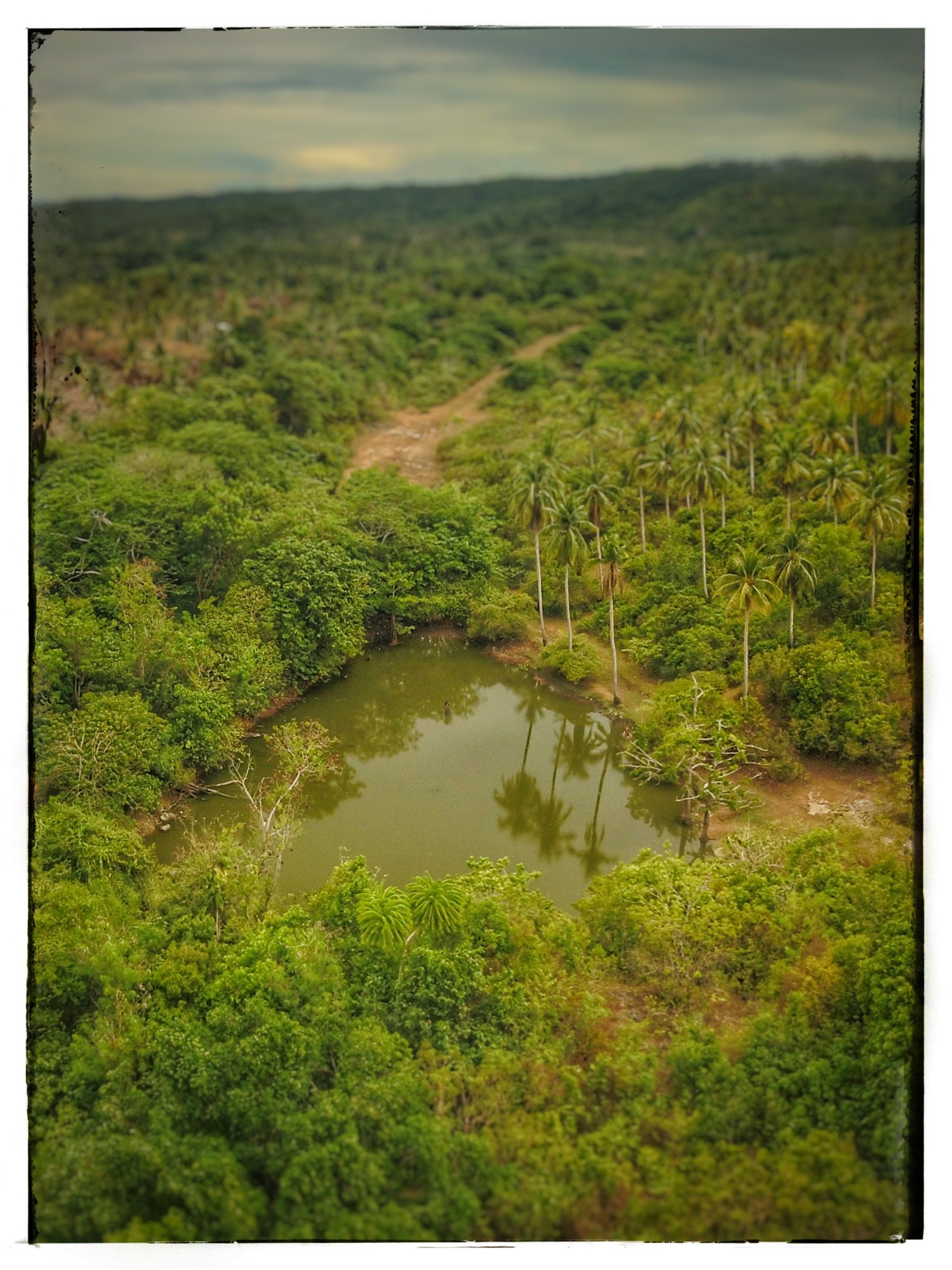 Watering Hole
